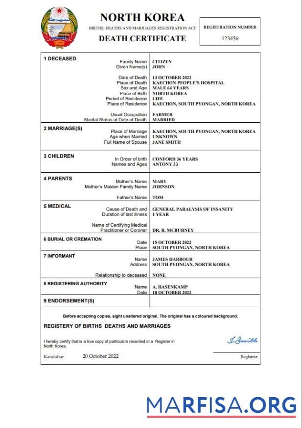 Realistic North Korea vital record death certificate Word and PDF template